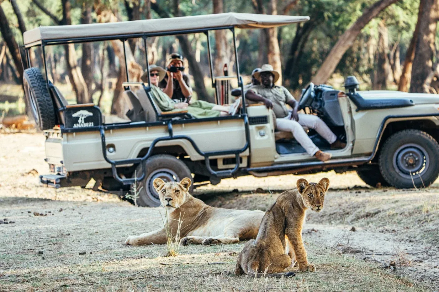 Lions seen from a game-drive vehicle in the Lower Zambezi