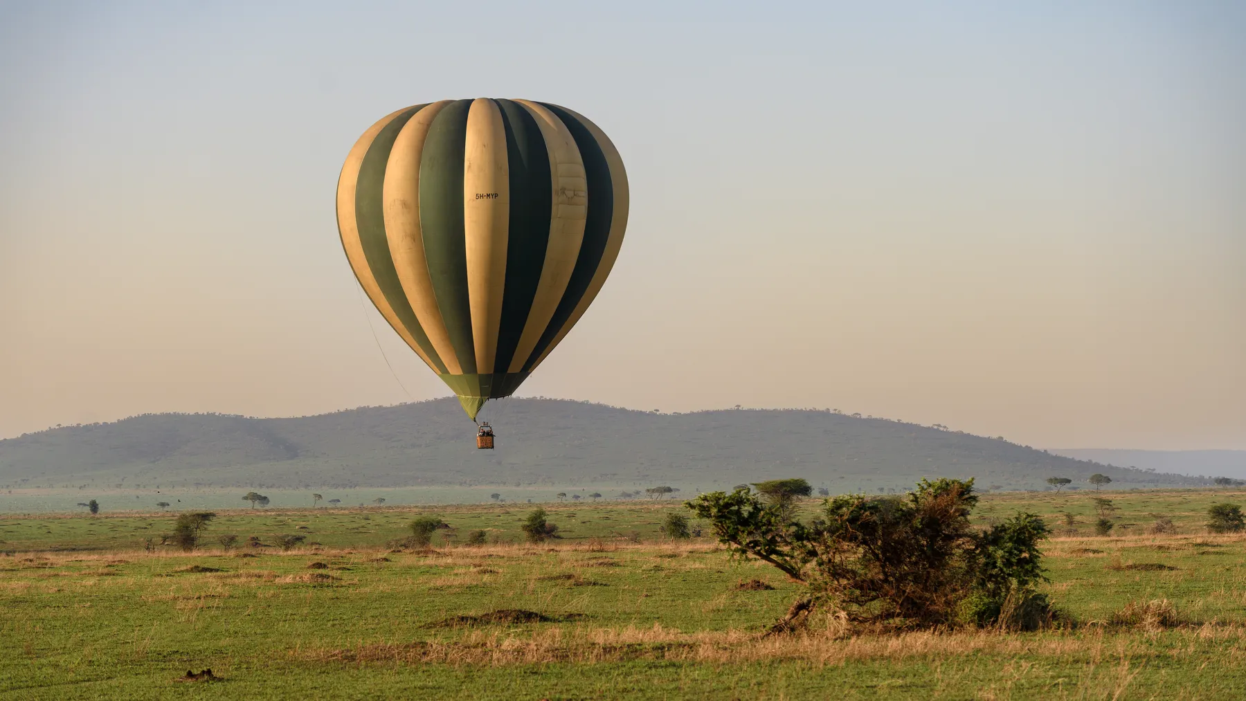 Hot-air balloon over the plains at sunrise